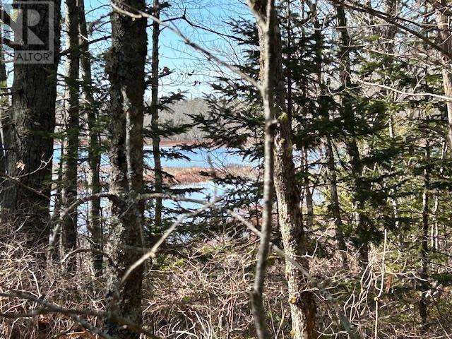 Lot Bridge Road, New Elm, Nova Scotia  B0T 1X0 - Photo 3 - 202507146