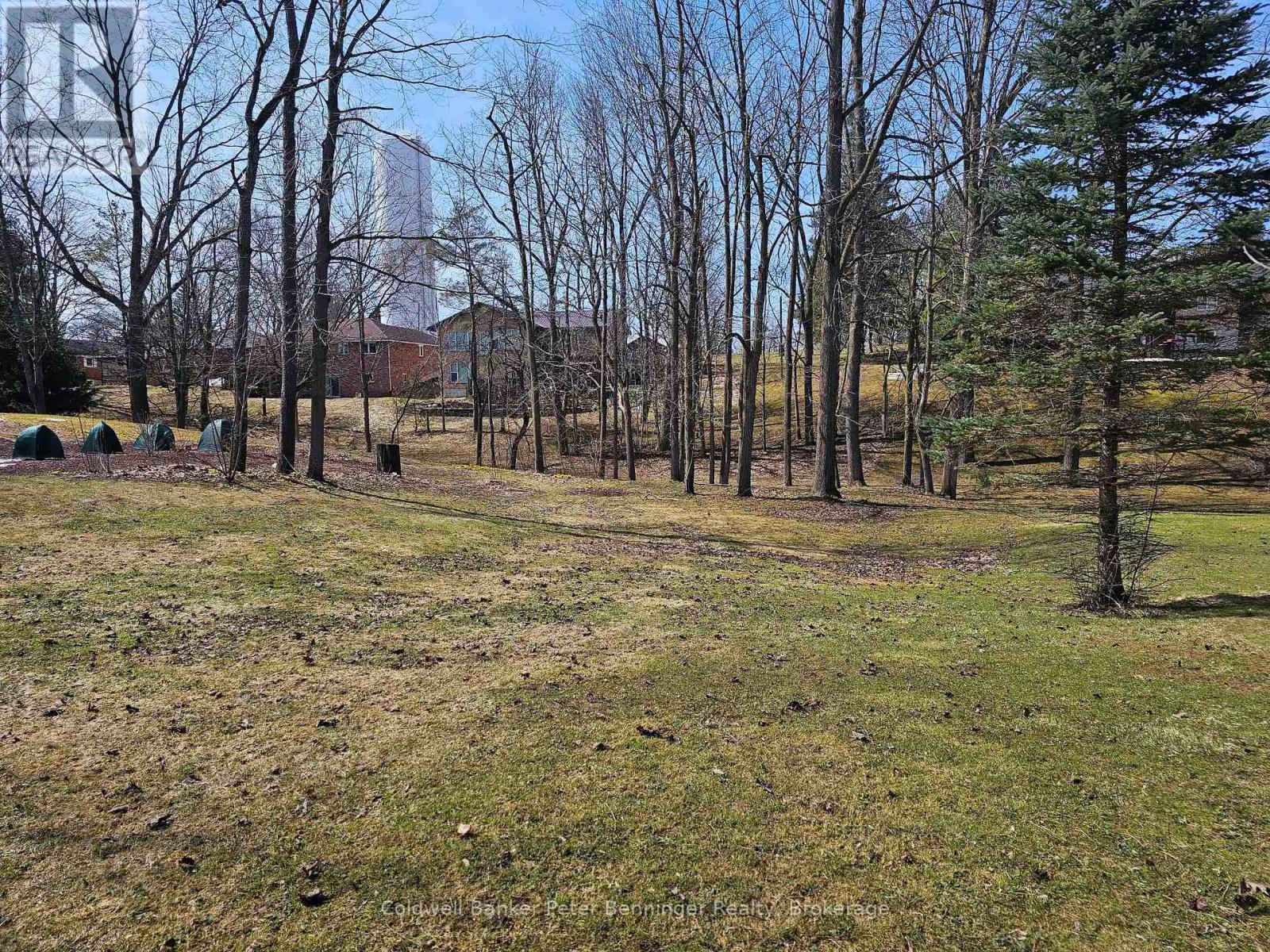 Part 1 George Street S, Arran-Elderslie, Ontario  N0G 2N0 - Photo 6 - X12062308
