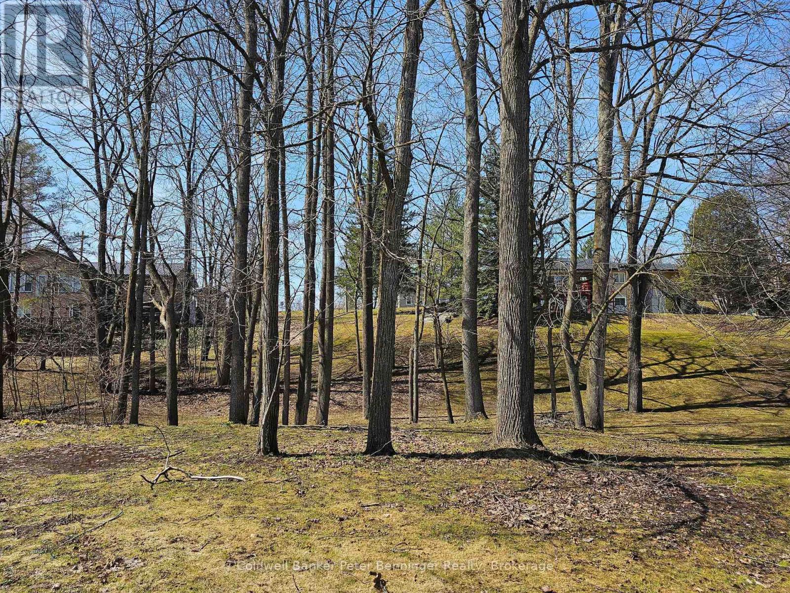 Part 1 George Street S, Arran-Elderslie, Ontario  N0G 2N0 - Photo 7 - X12062308