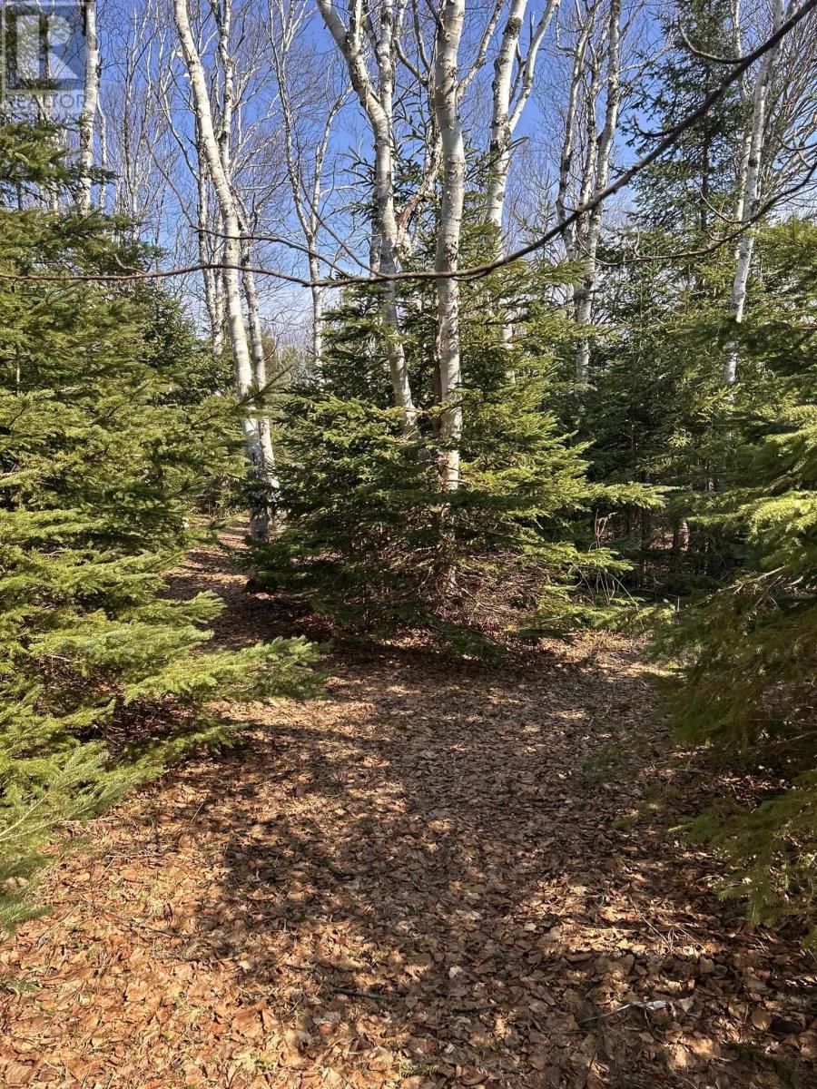 11418 Northside Road, St. Margaret's, Prince Edward Island  C0A 2B0 - Photo 49 - 202505954