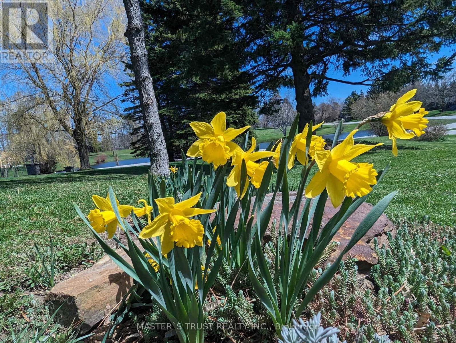 10 William Andrew Avenue, Whitchurch-Stouffville, Ontario  L4A 7X5 - Photo 43 - N12007830