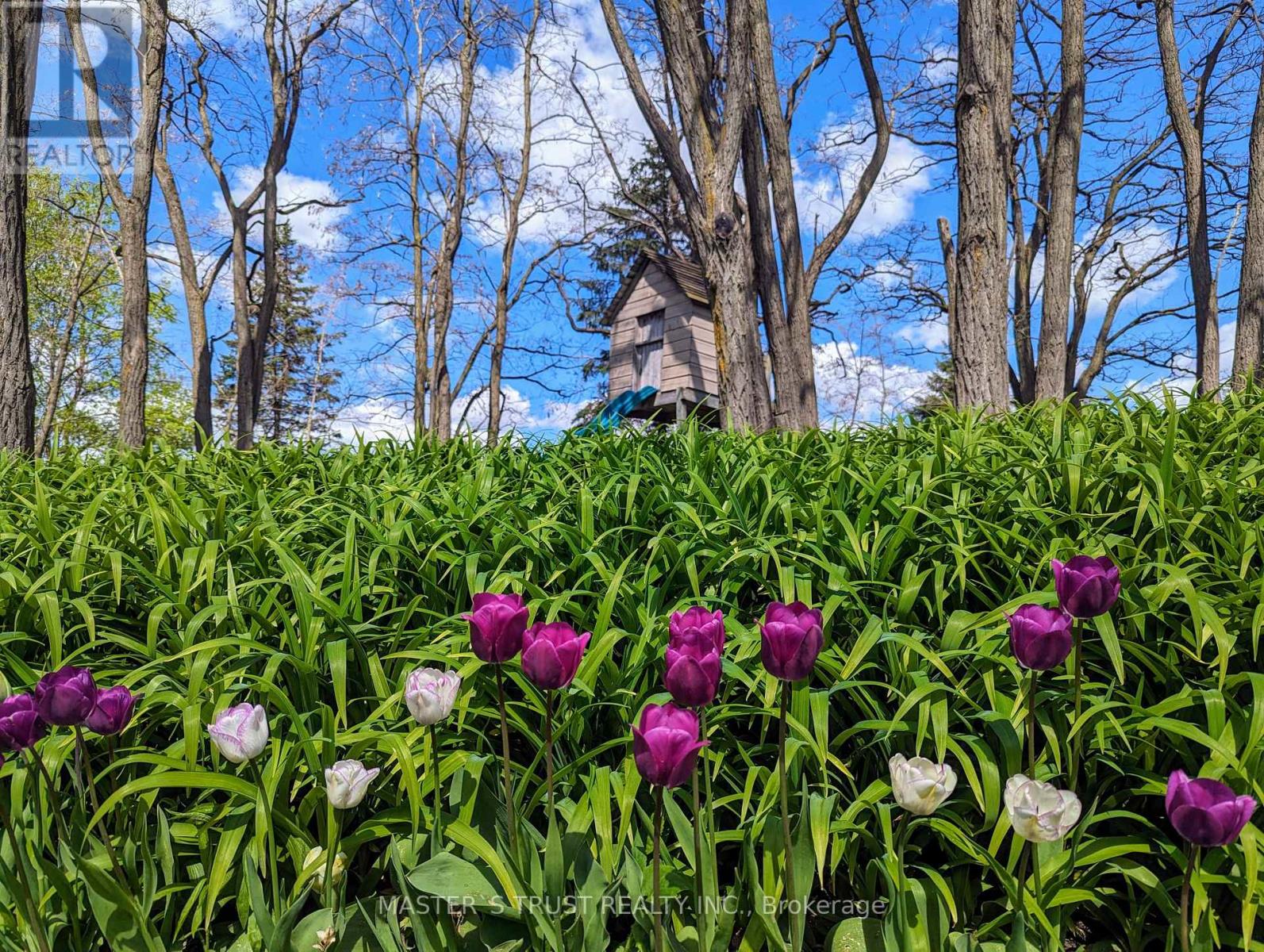 10 William Andrew Avenue, Whitchurch-Stouffville, Ontario  L4A 7X5 - Photo 45 - N12007830