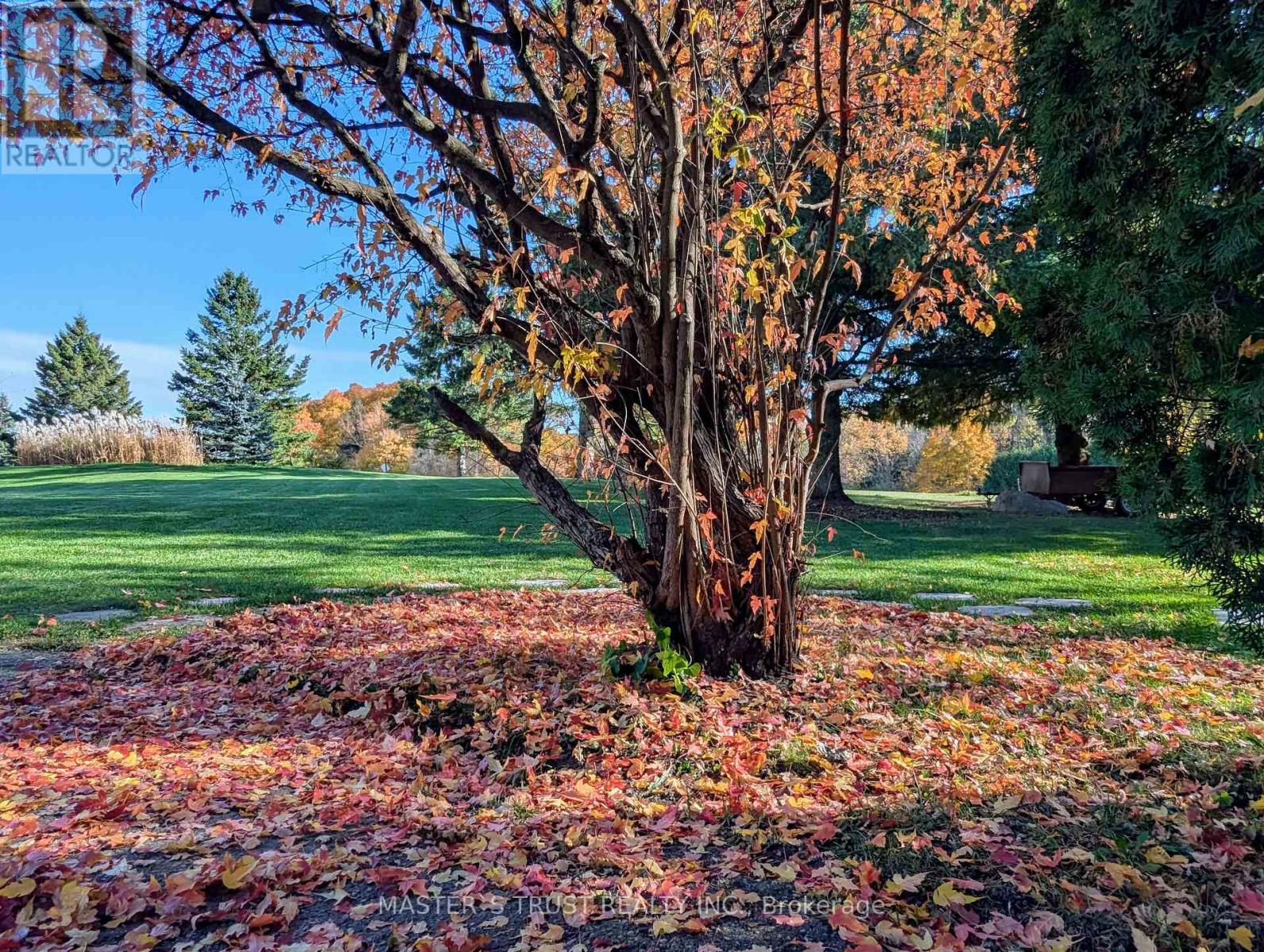 10 William Andrew Avenue, Whitchurch-Stouffville, Ontario  L4A 7X5 - Photo 47 - N12007830