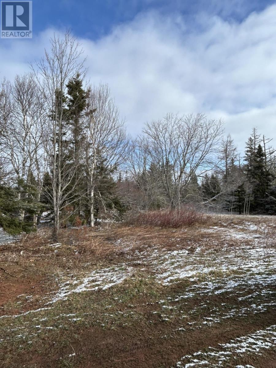 Lot Baltic Road, East Baltic, Prince Edward Island  C0A 2B0 - Photo 4 - 202506693