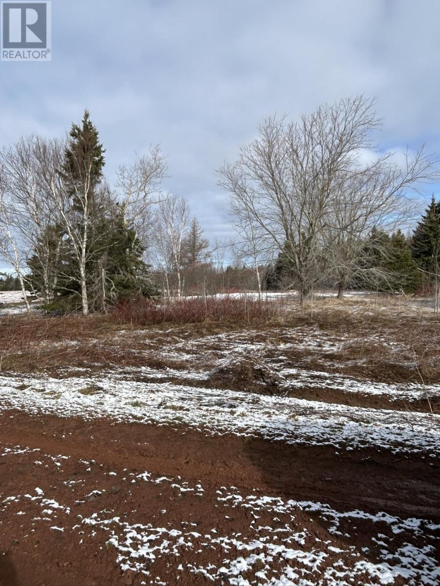 Lot Baltic Road, East Baltic, Prince Edward Island  C0A 2B0 - Photo 5 - 202506693
