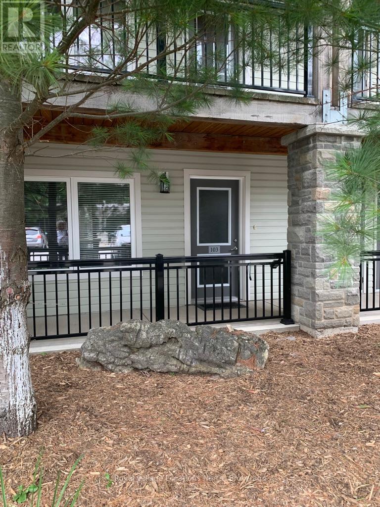 103 - 1 Brandy Lane Drive, Collingwood, Ontario  L9Y 0X4 - Photo 2 - S12069598
