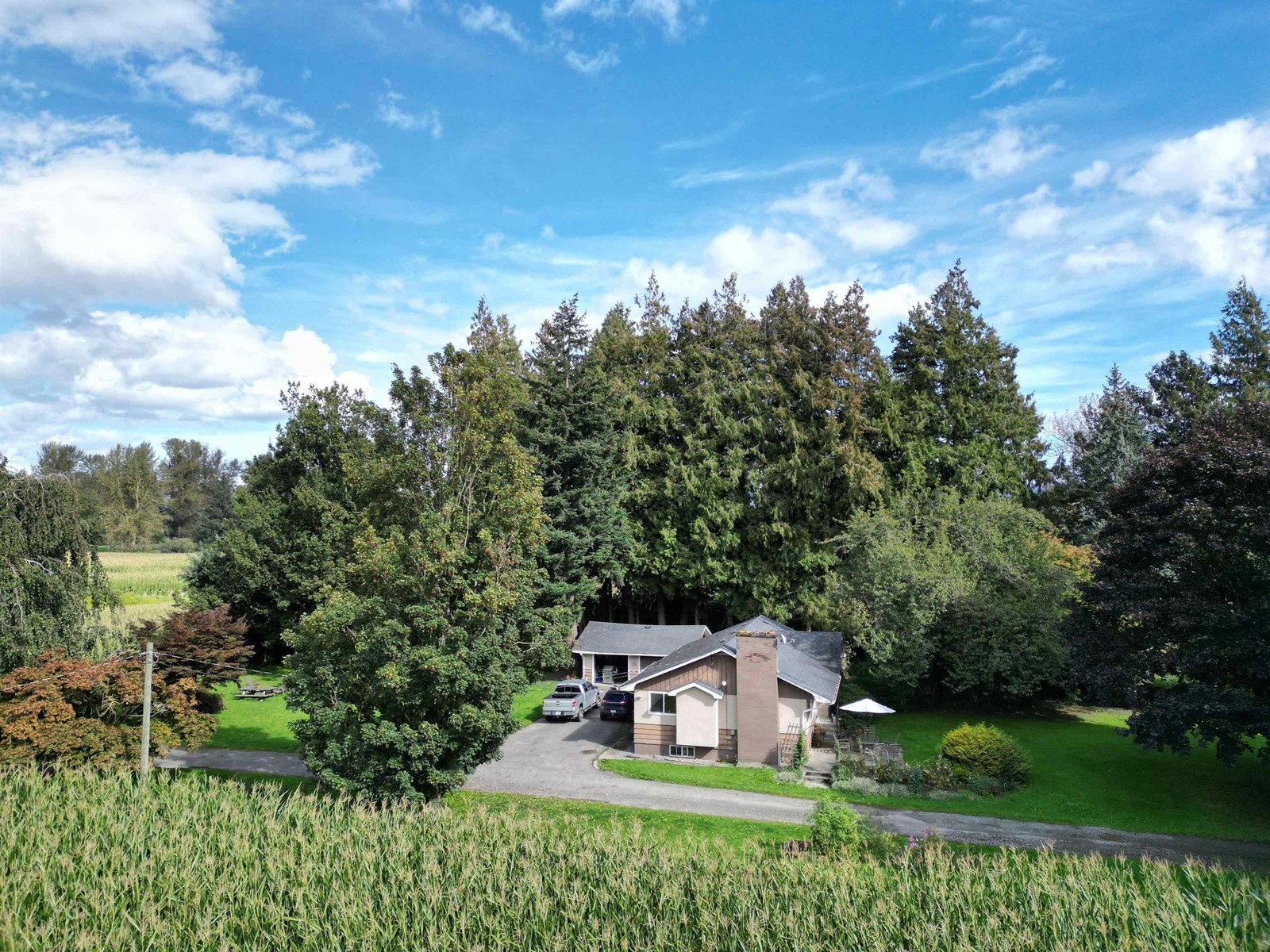 39205 North Parallel Road, Abbotsford, British Columbia  V3G 2K3 - Photo 5 - R2986907