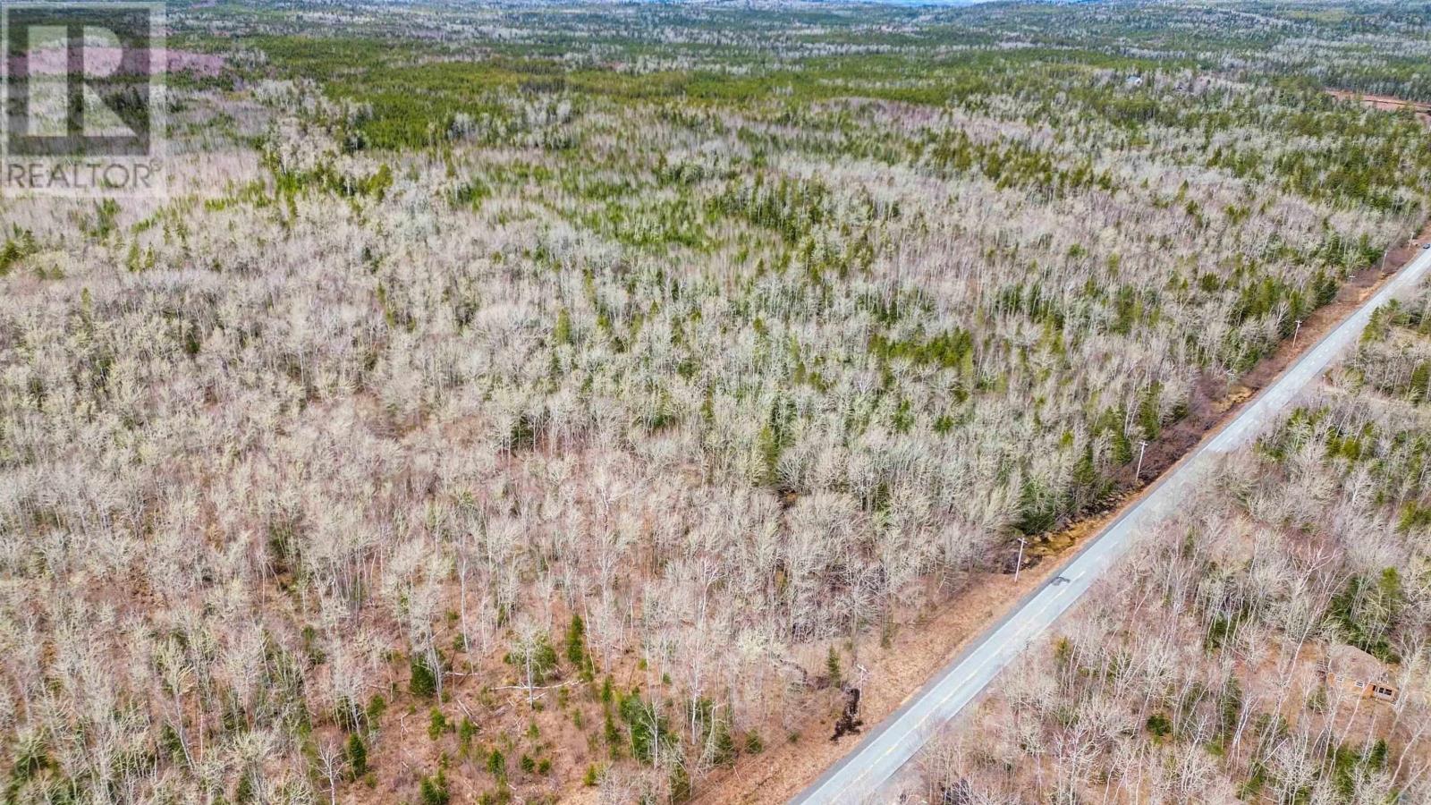 Lot 7 North River Road, Aylesford Lake, Nova Scotia  B0P 1C0 - Photo 17 - 202506890
