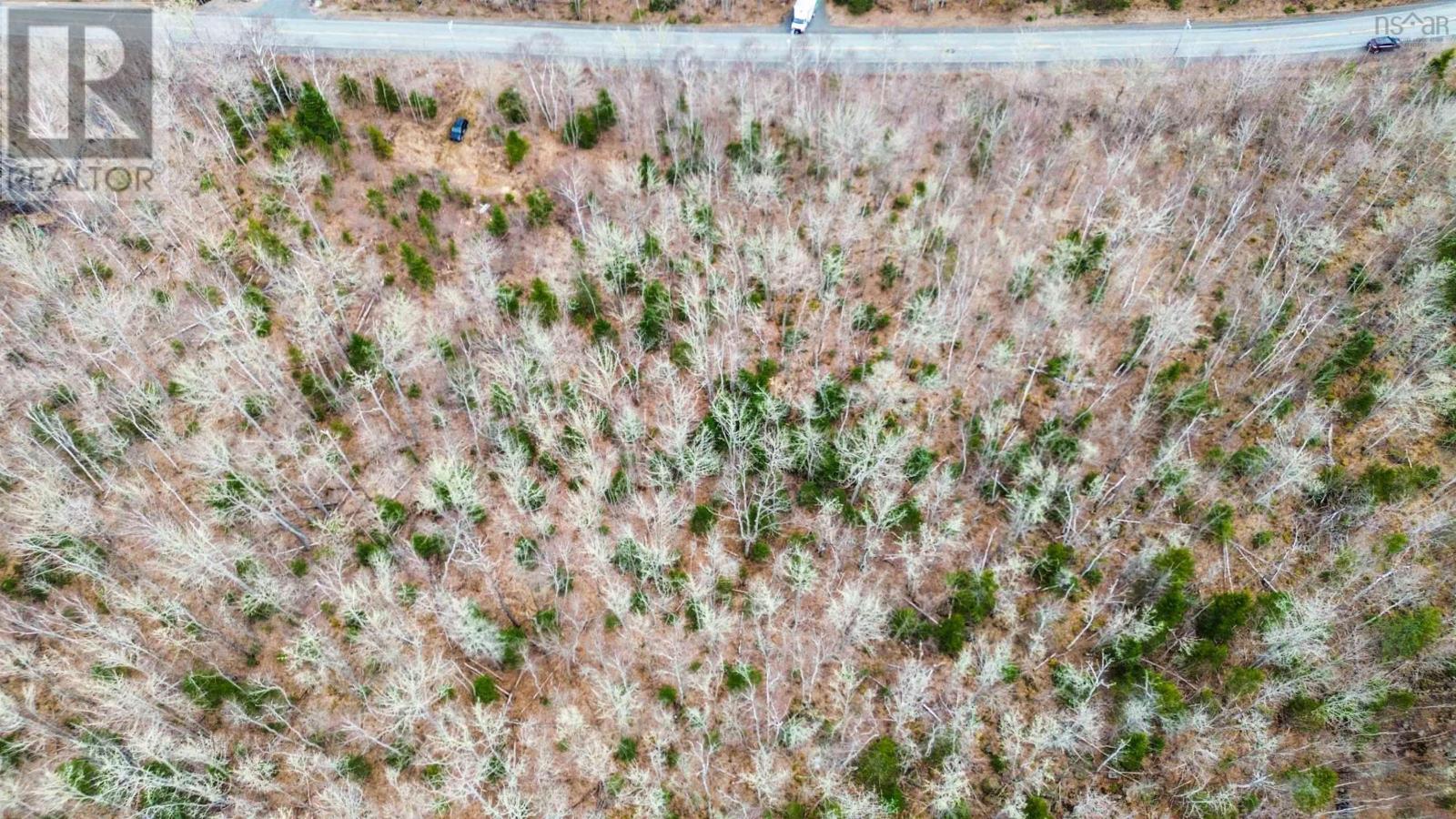 Lot 7 North River Road, Aylesford Lake, Nova Scotia  B0P 1C0 - Photo 5 - 202506890