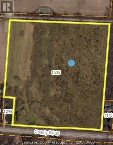 Property at 1238 COUNTY RD 20 image 5