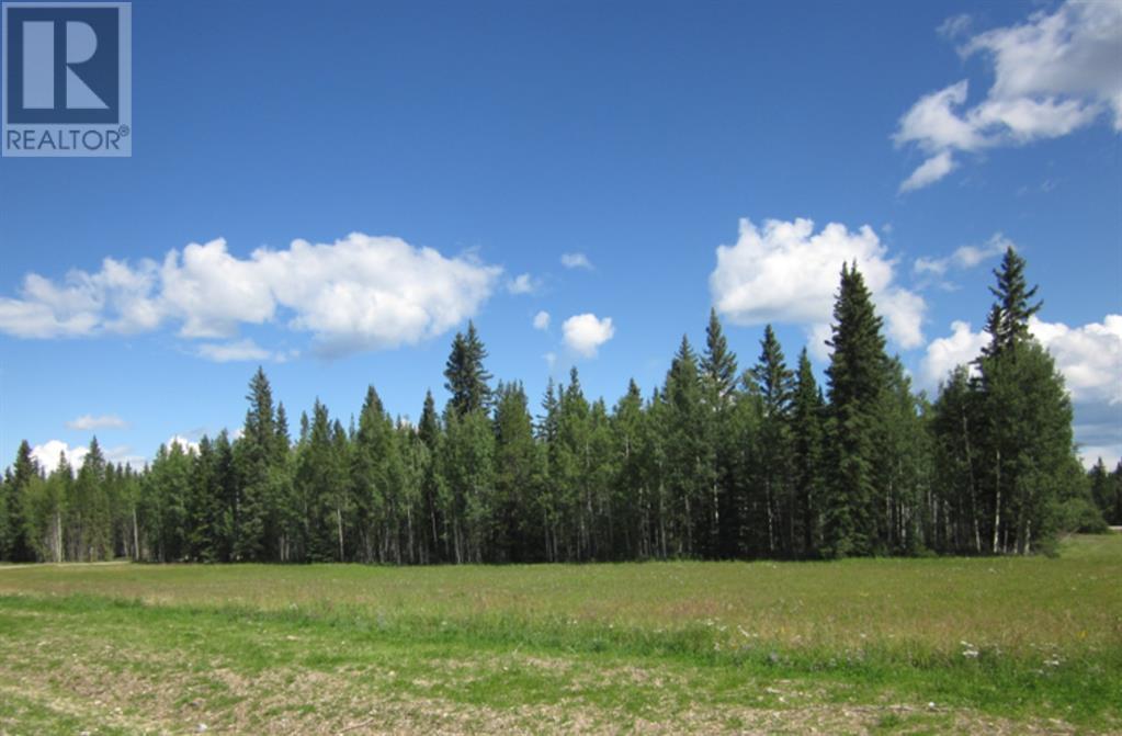 52 Boundary, Rural Clearwater County, Alberta  T0M 0M0 - Photo 11 - A2209746