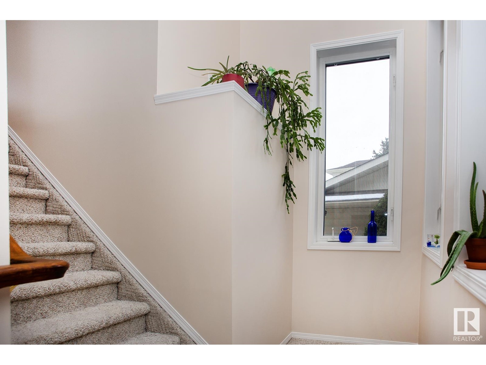 14714 46 Av Nw, Edmonton, Alberta  T6H 5M7 - Photo 53 - E4428496