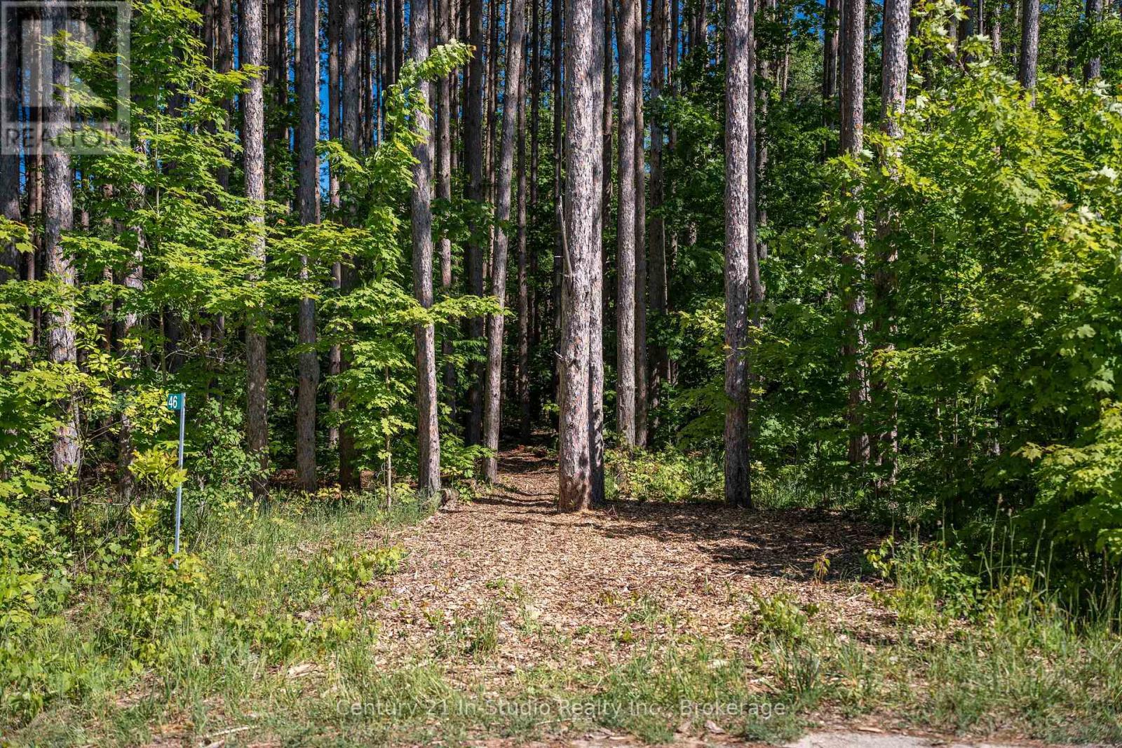 46 Riverside Place, South Bruce Peninsula, Ontario  N0H 2G0 - Photo 10 - X12070065