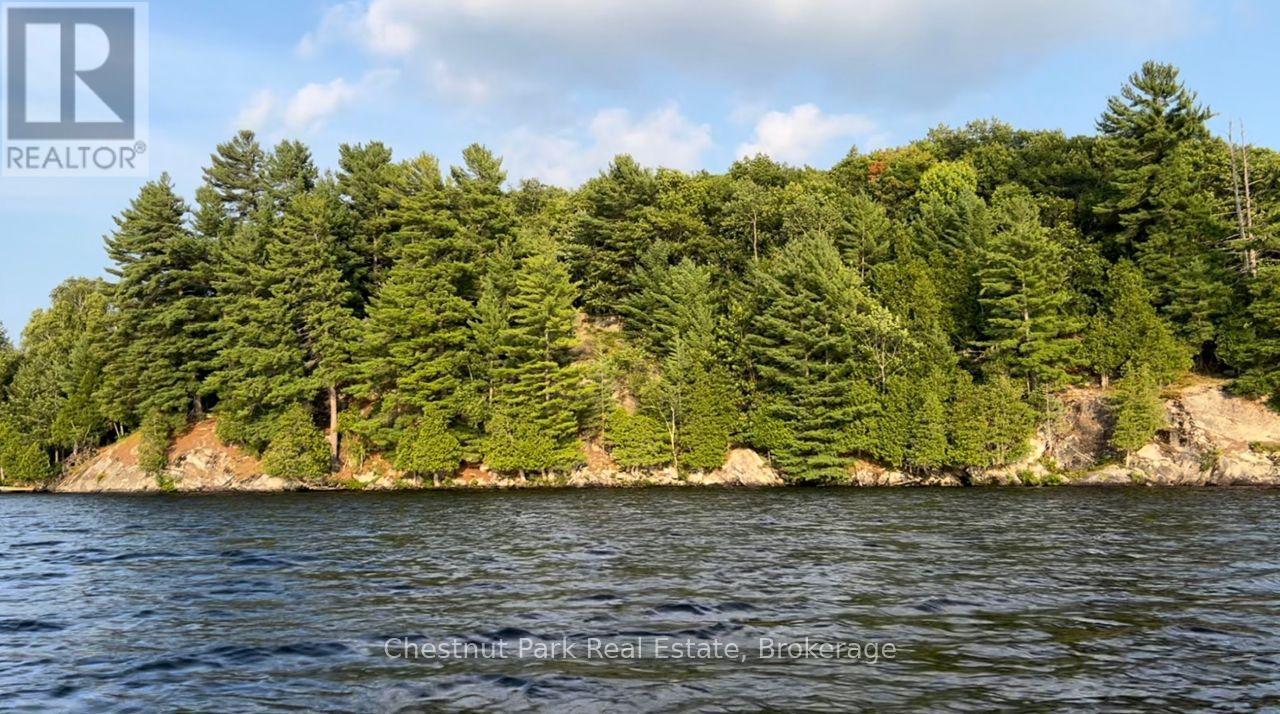 920 Big Island, Huntsville, Ontario  P1H 2J2 - Photo 27 - X12006826