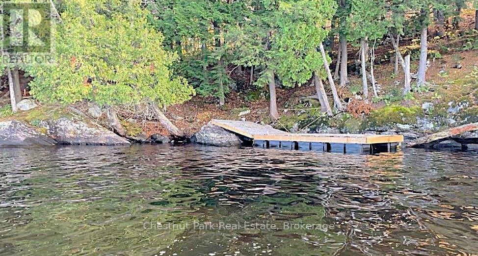 920 Big Island, Huntsville, Ontario  P1H 2J2 - Photo 8 - X12006826