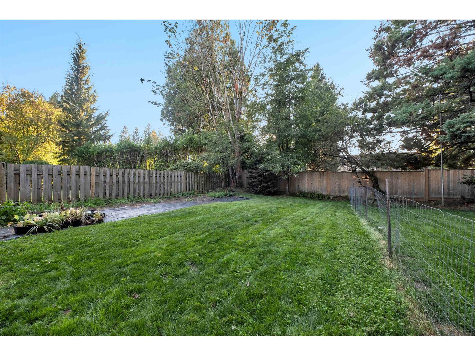 Property at 9067 TRATTLE STREET image 5