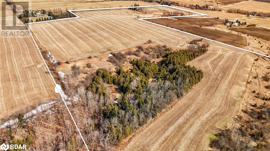 7369 5th Sideroad Side Road, Adjala-Tosorontio, Ontario  L9R 1V3 - Photo 9 - 40714562