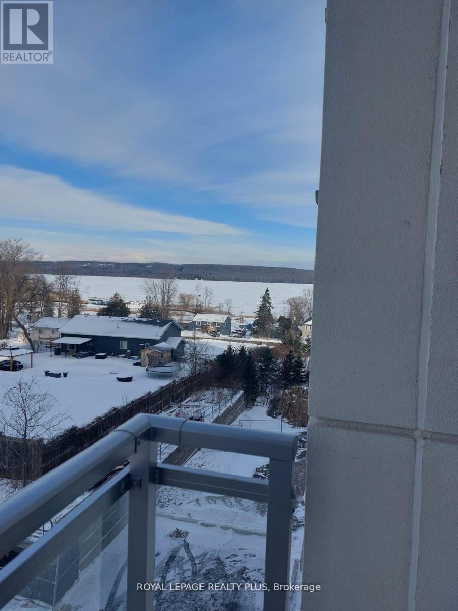 203 - 56 Lakeside Terrace, Barrie, Ontario  L4M 7B9 - Photo 8 - S12070180