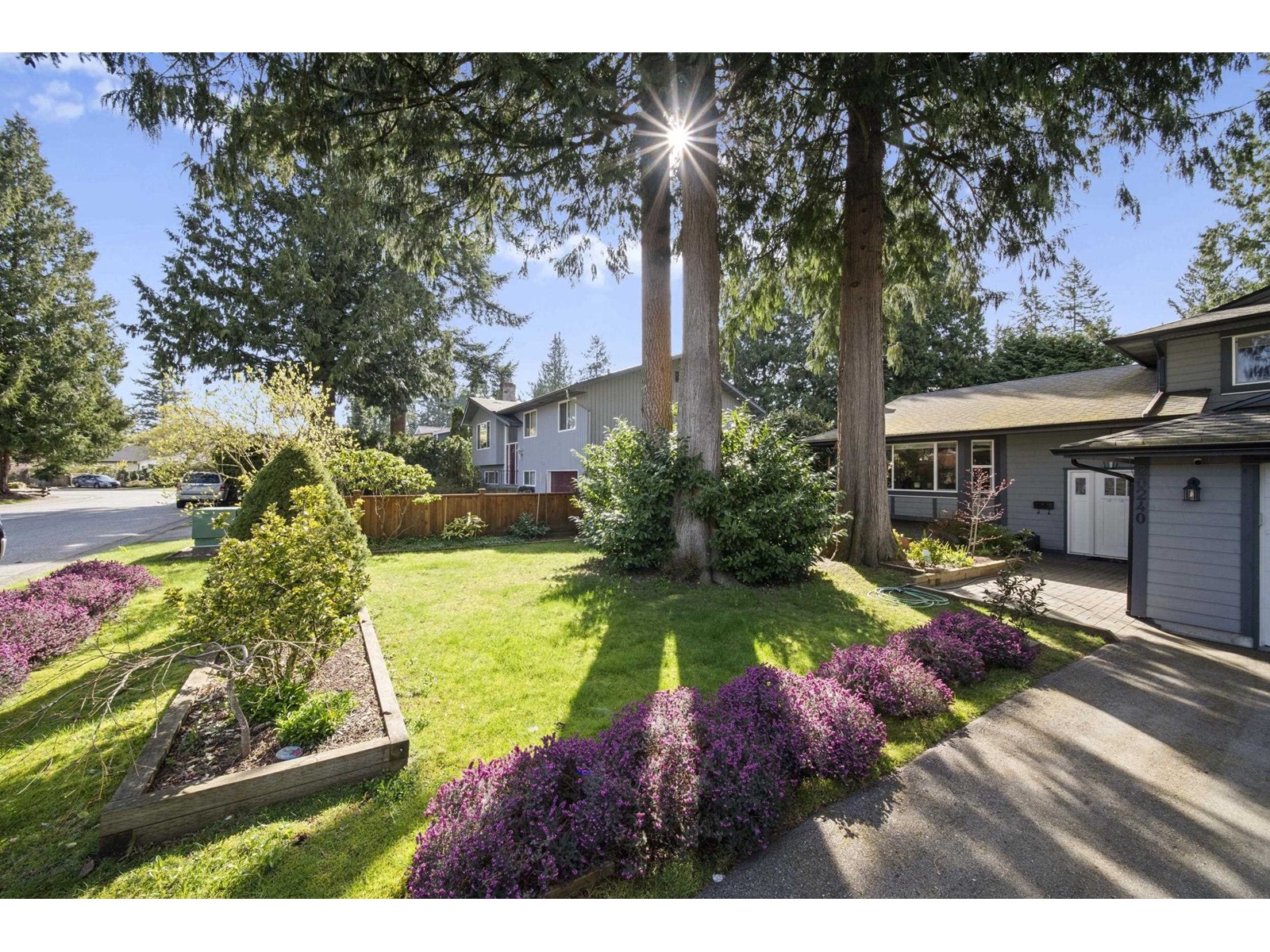 20240 44a Avenue, Langley, British Columbia  V3A 6N3 - Photo 5 - R2987492