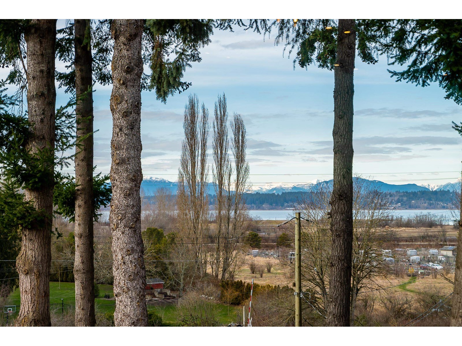 2800 Bayview Street, Surrey, British Columbia  V4A 2Z4 - Photo 31 - R2984162