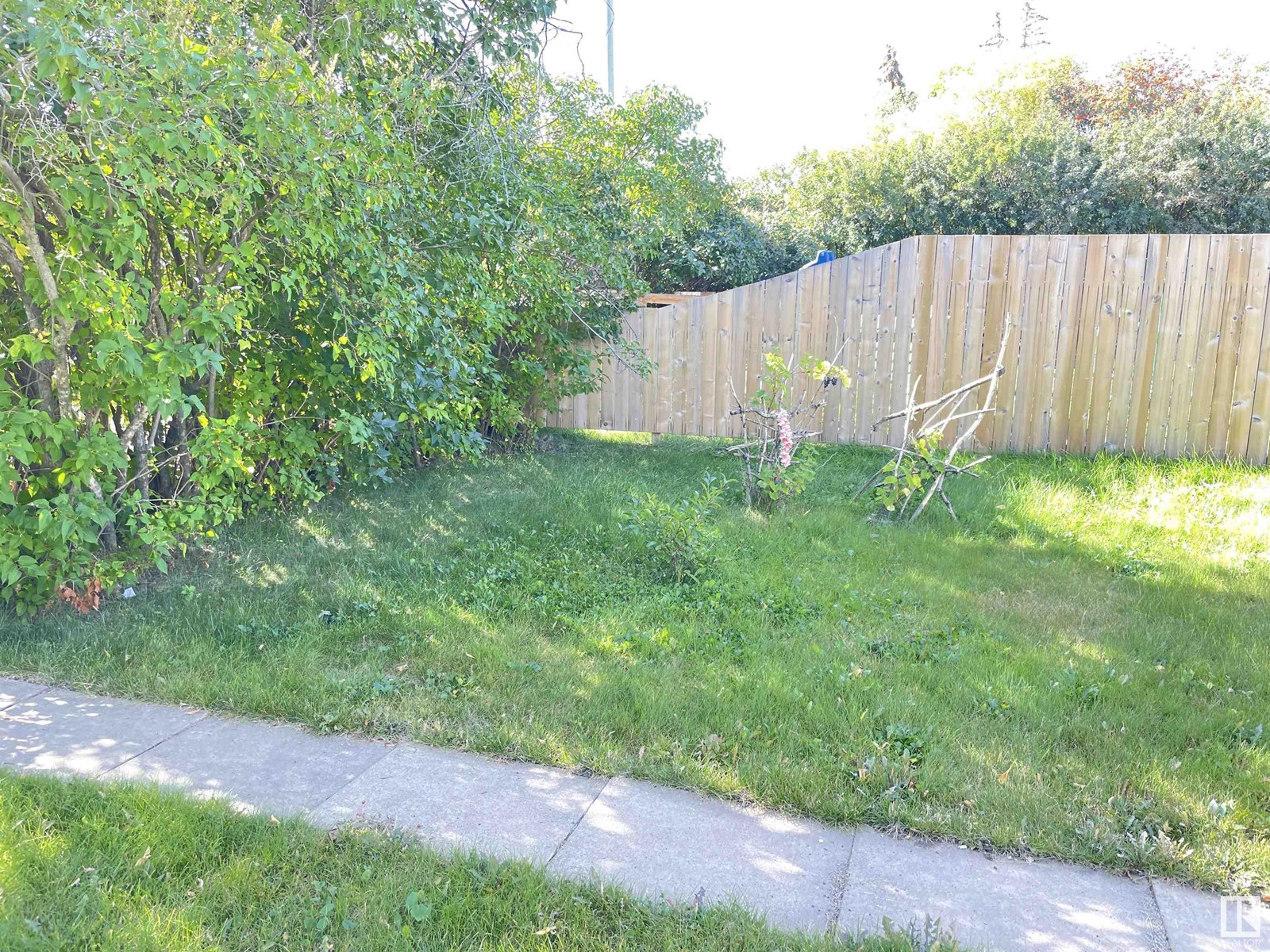 9832 107 St, Westlock, Alberta  T7P 1R5 - Photo 11 - E4358822