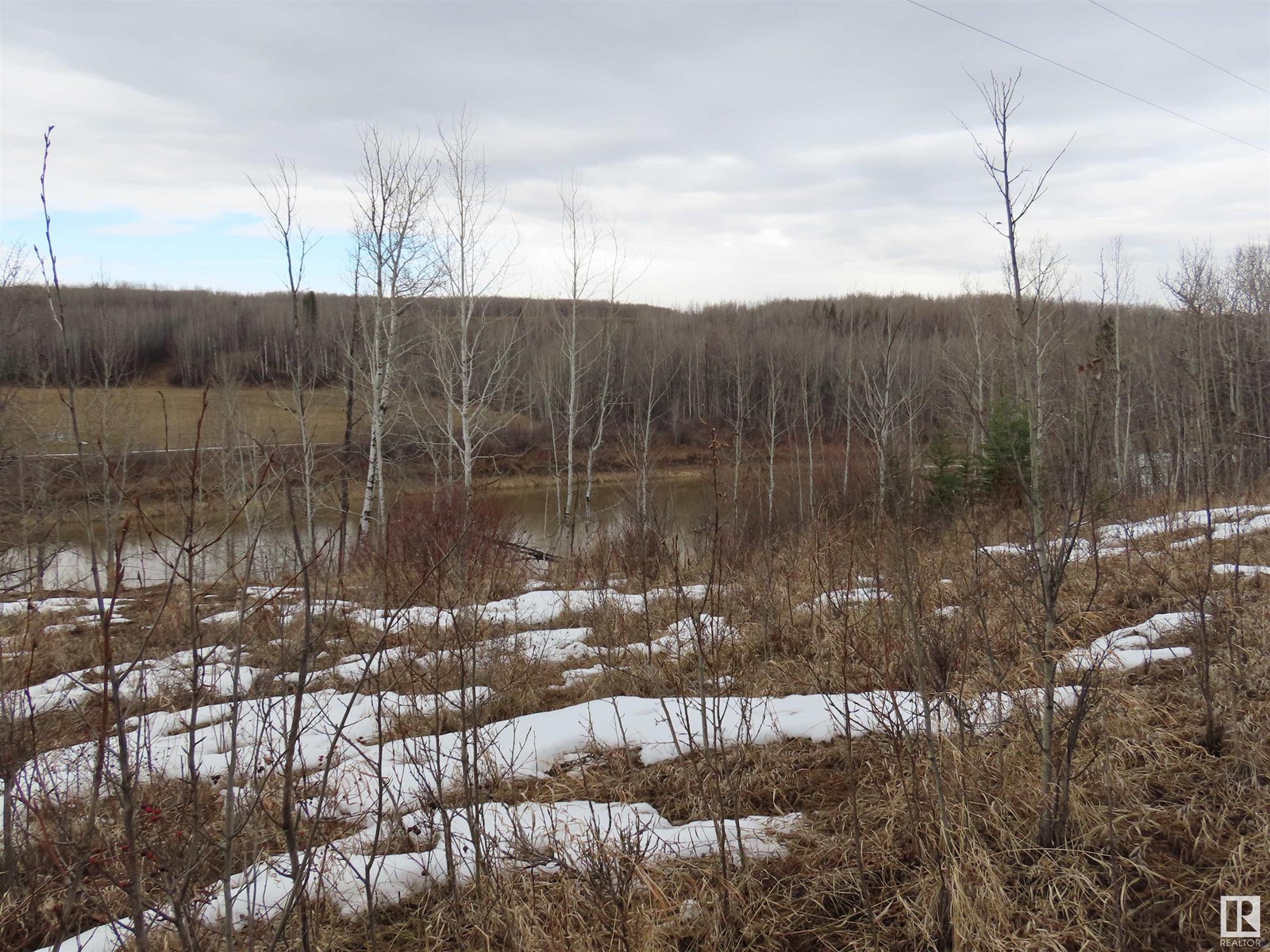 57013 Rr 70, Rural Lac Ste. Anne County, Alberta  T0E 2A0 - Photo 37 - E4429744