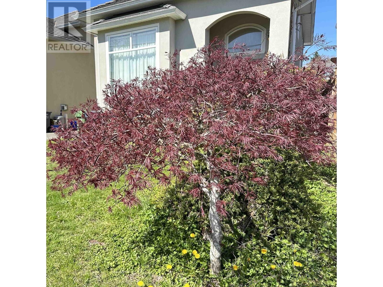 7655 Acheson Road, Richmond, British Columbia  V6Y 1N1 - Photo 23 - R2987128