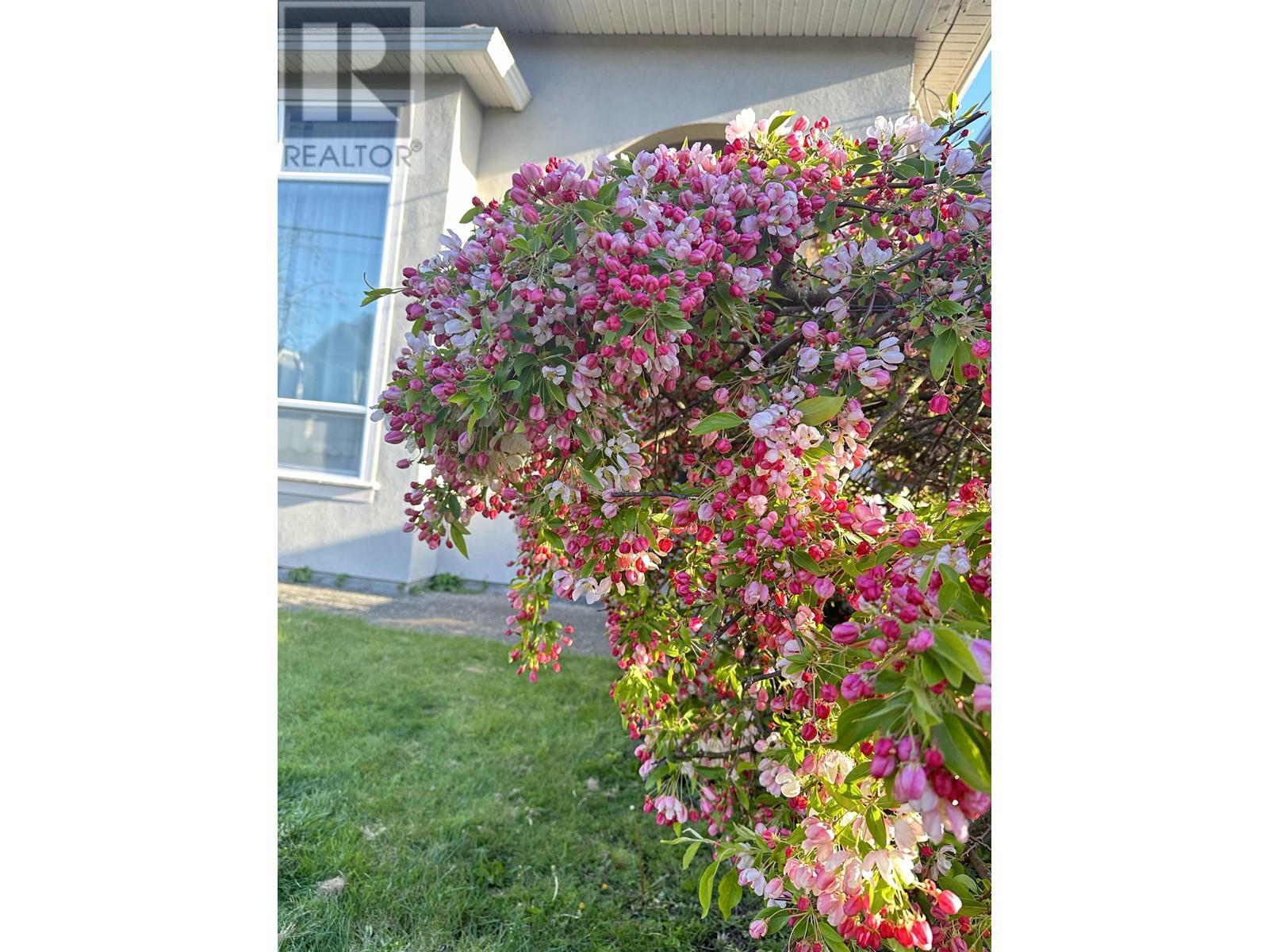 7655 Acheson Road, Richmond, British Columbia  V6Y 1N1 - Photo 24 - R2987128