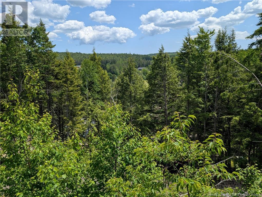 25 W Wilson Road, Parkindale, New Brunswick  E4J 1P4 - Photo 6 - NB115829