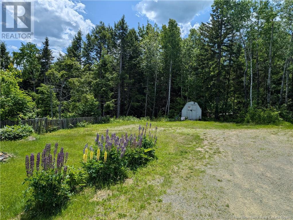 25 W Wilson Road, Parkindale, New Brunswick  E4J 1P4 - Photo 3 - NB115829