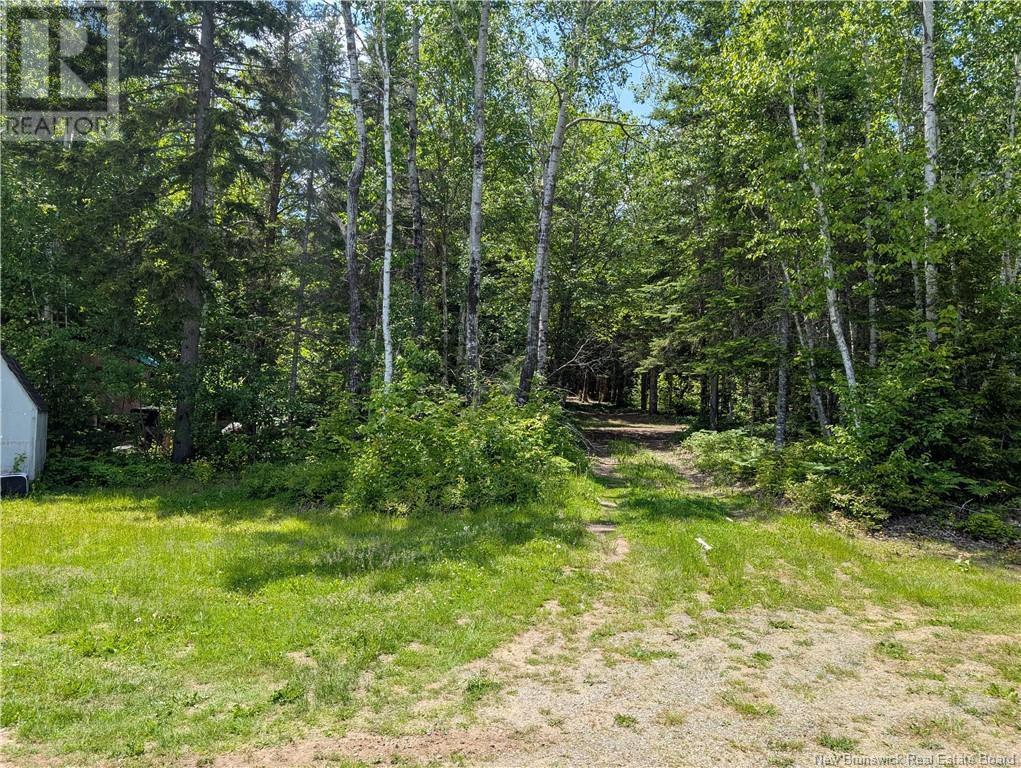 25 W Wilson Road, Parkindale, New Brunswick  E4J 1P4 - Photo 5 - NB115829