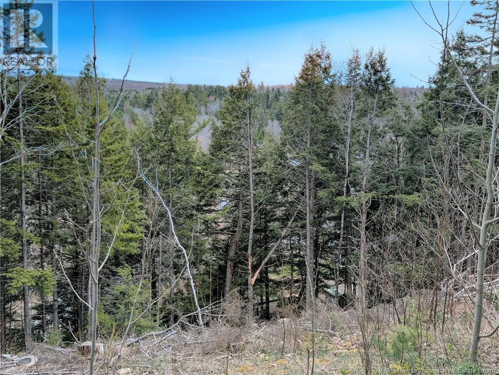 25 W Wilson Road, Parkindale, New Brunswick  E4J 1P4 - Photo 7 - NB115829