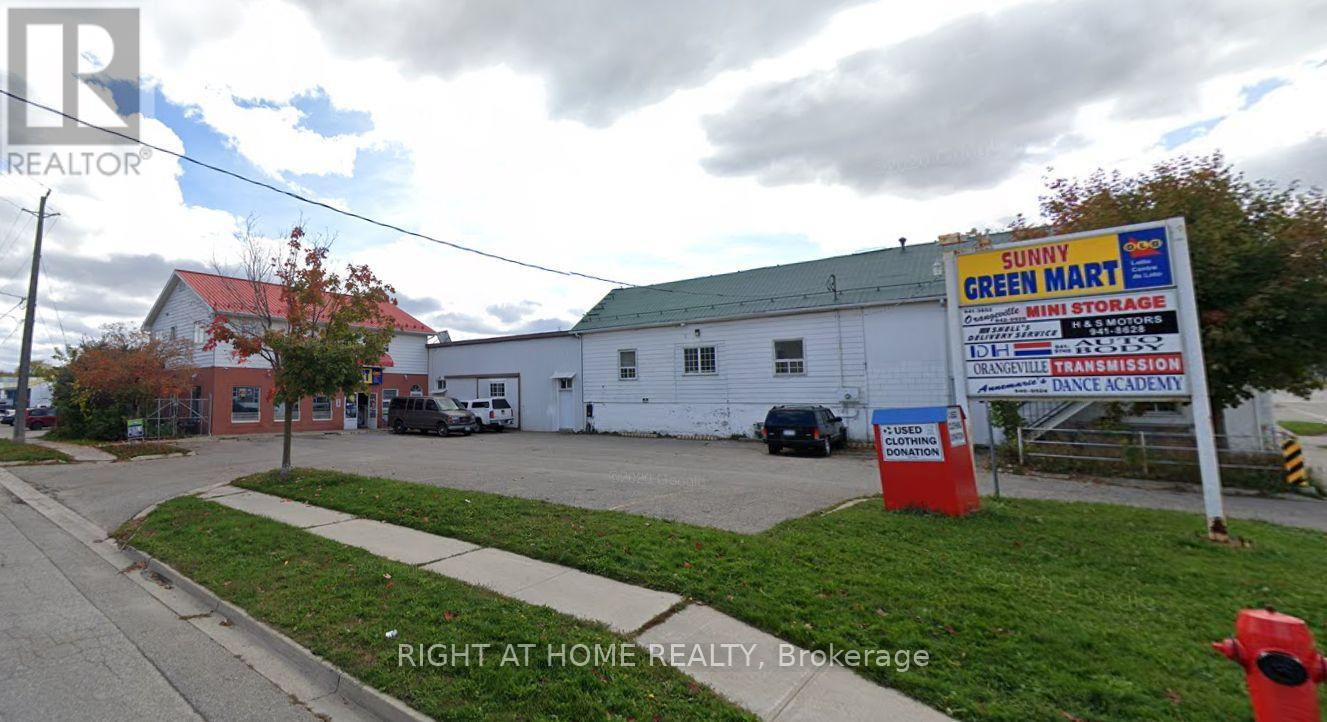 47a Townline Road, Orangeville, Ontario  L9W 1T8 - Photo 1 - W12070929