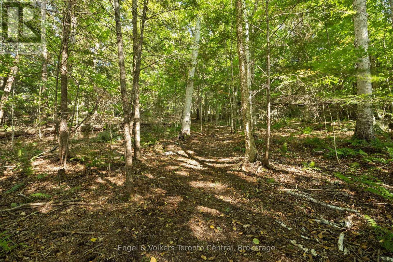 13 Hickory Crescent, Seguin, Ontario  P0C 1J0 - Photo 36 - X12070977