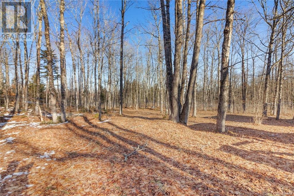 449 Red Rock Road, Red Rock, New Brunswick  E6B 2C5 - Photo 37 - NB115913