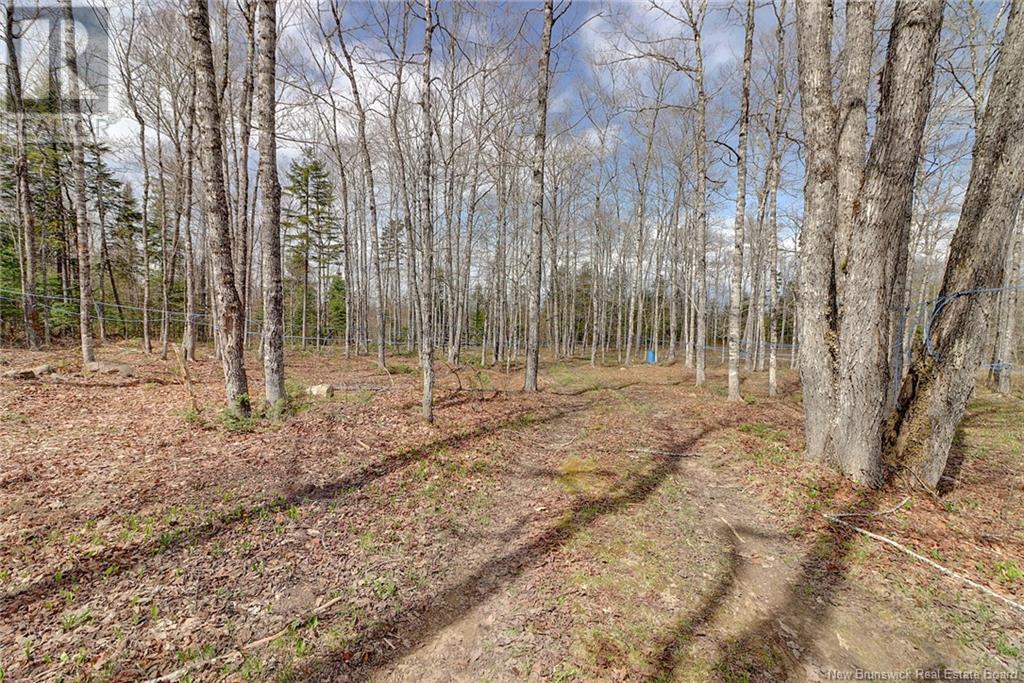 449 Red Rock Road, Red Rock, New Brunswick  E6B 2C5 - Photo 46 - NB115913