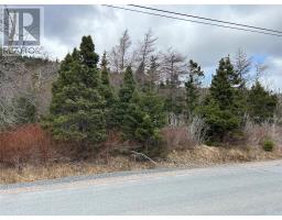 Lot #1 Main Road, North River, Newfoundland & Labrador
