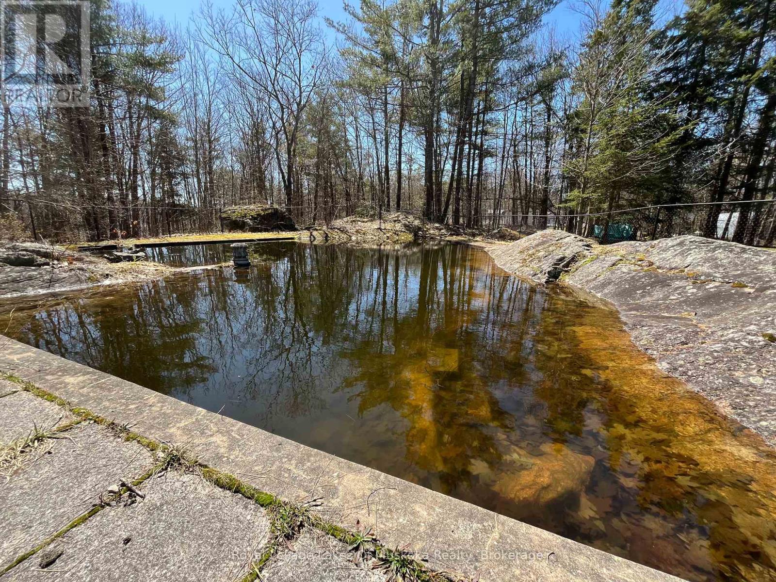 1030 Simpson Road, Gravenhurst, Ontario  P1P 1R1 - Photo 37 - X12071265