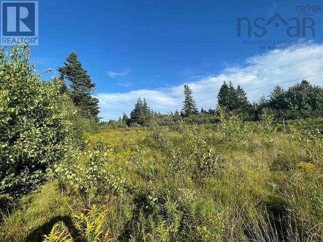 Lot A Arlington Road, Arlington West, Nova Scotia  B0P 1R0 - Photo 7 - 202507265