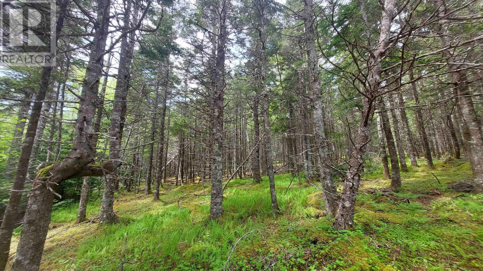 Lot 1a-79 Maple Dr, Cape George Estates, Nova Scotia  B0E 3B0 - Photo 19 - 202507284