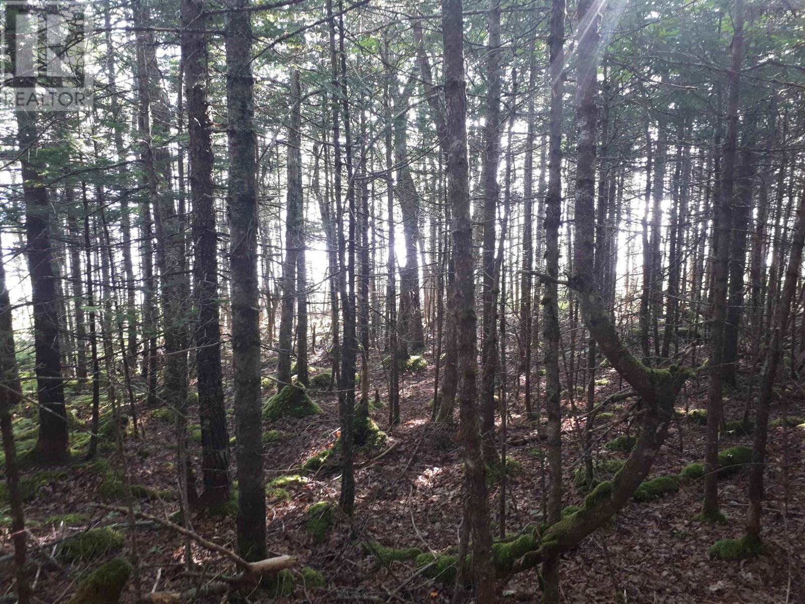 Lot 1a-79 Maple Dr, Cape George Estates, Nova Scotia  B0E 3B0 - Photo 9 - 202507284
