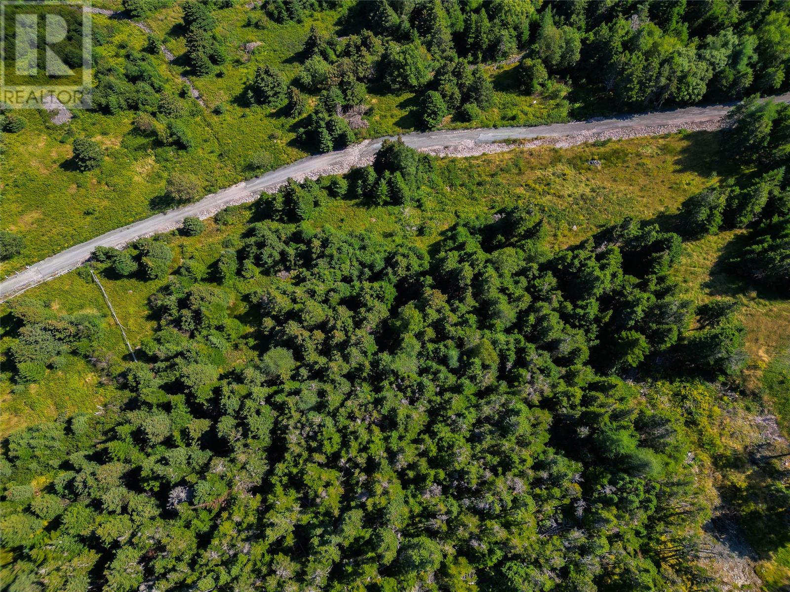 20 Kennedys Lane, Holyrood, Newfoundland & Labrador  A0A 2R0 - Photo 10 - 1283525