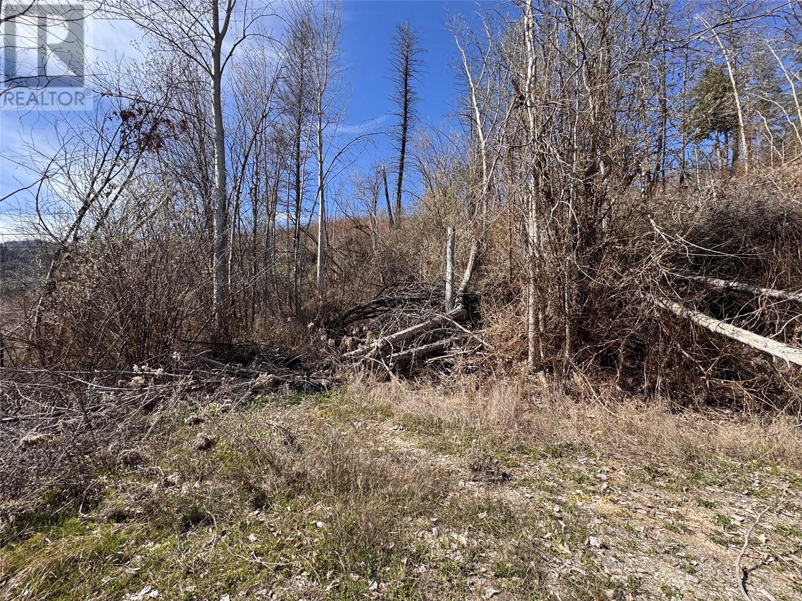 Lot 25 Hodges Road, Vernon, British Columbia  V1H 2G4 - Photo 4 - 10342268
