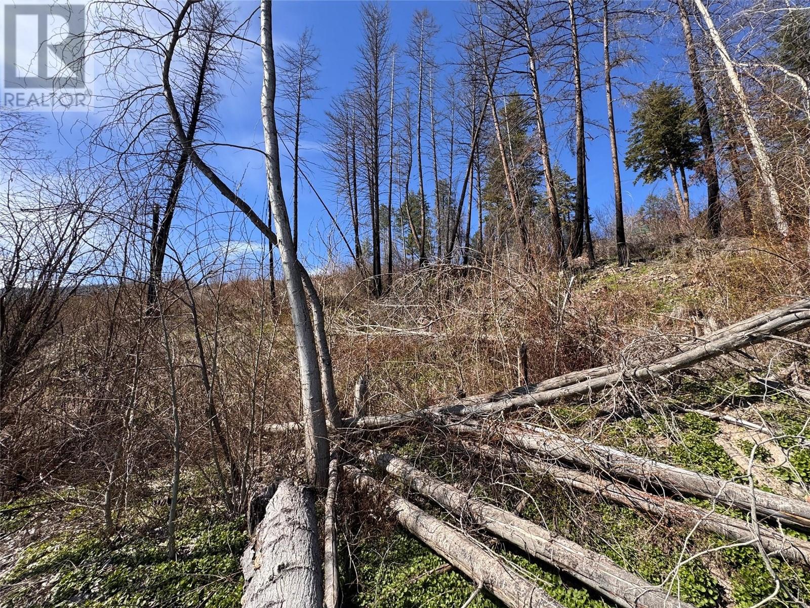 Lot 25 Hodges Road, Vernon, British Columbia  V1H 2G4 - Photo 5 - 10342268