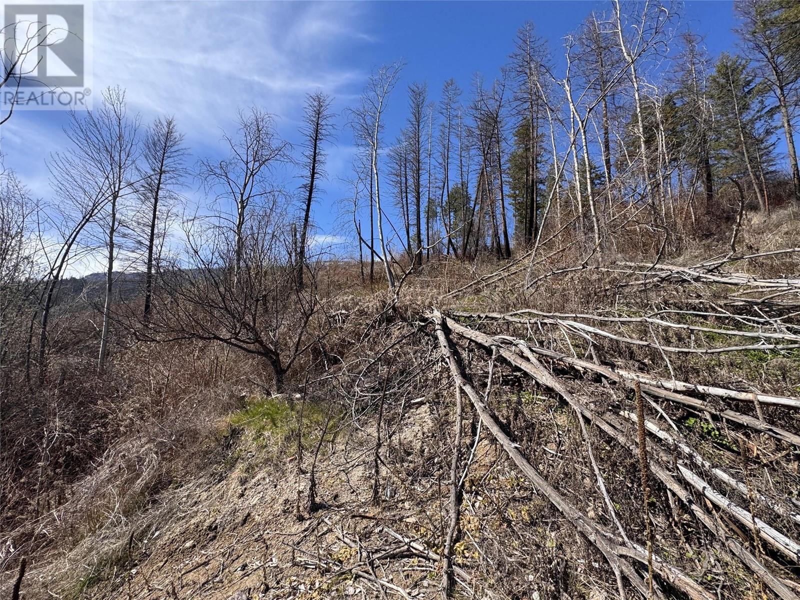 Lot 25 Hodges Road, Vernon, British Columbia  V1H 2G4 - Photo 8 - 10342268