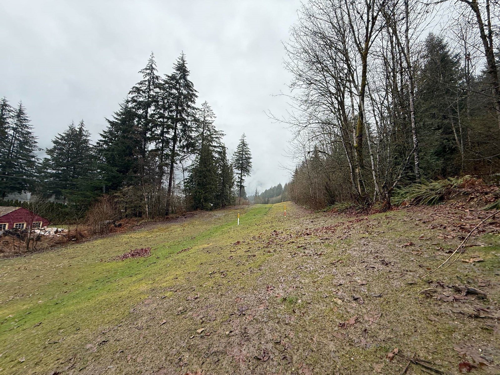 Property at 65936 KAWKAWA LAKE ROAD image 5