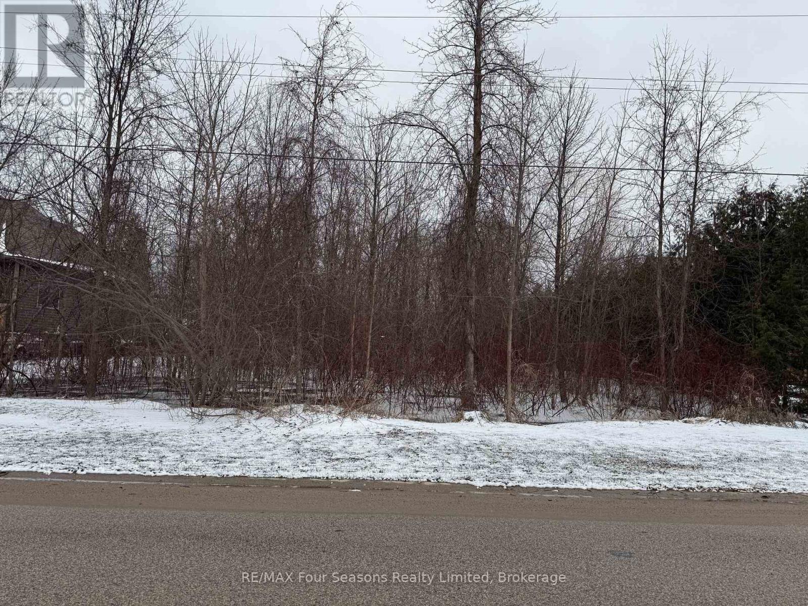 51 Saunders Street, Collingwood, Ontario  L9Y 0G5 - Photo 3 - S12072203