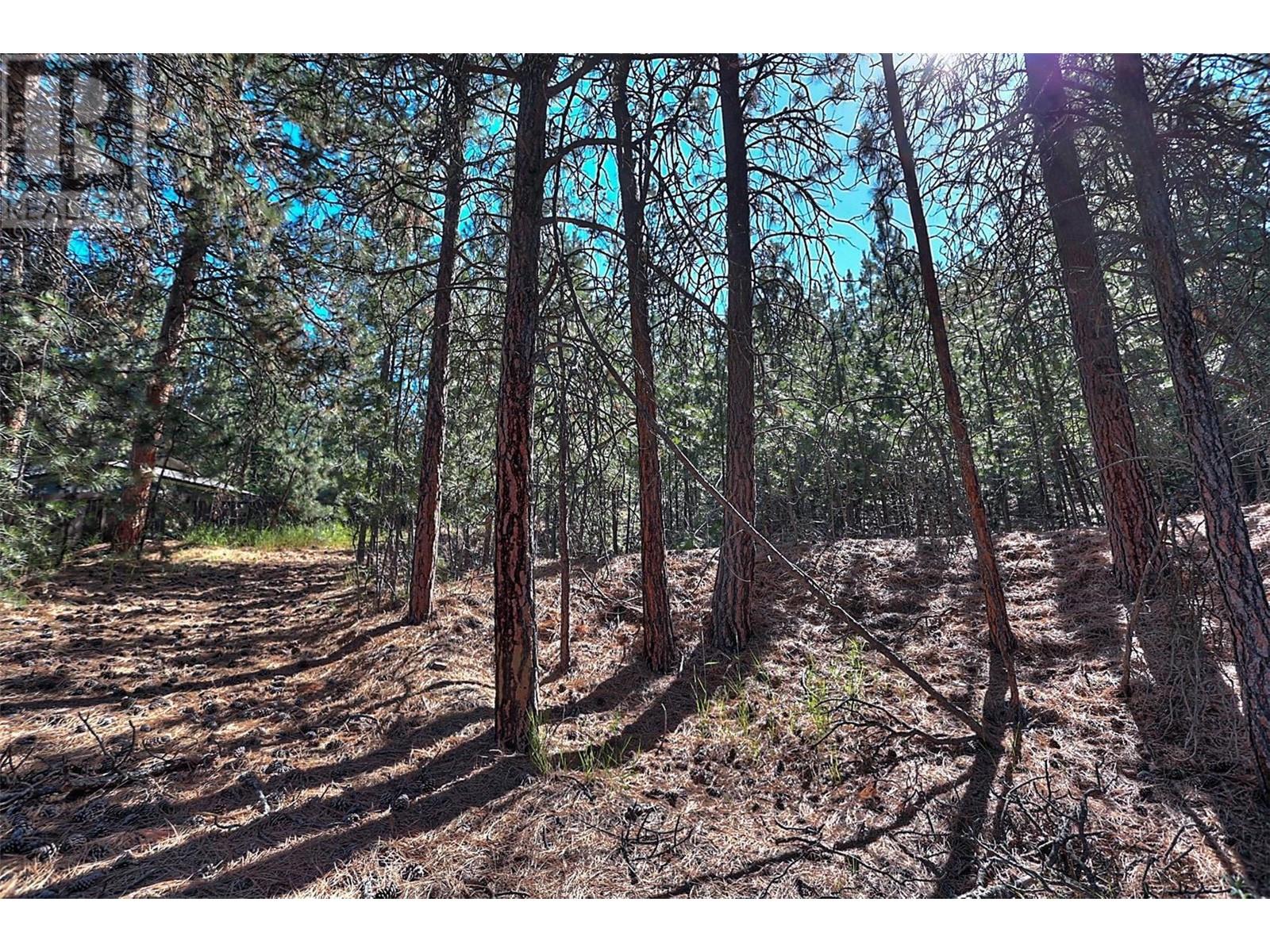 Property at 11091 Hare Road image 4