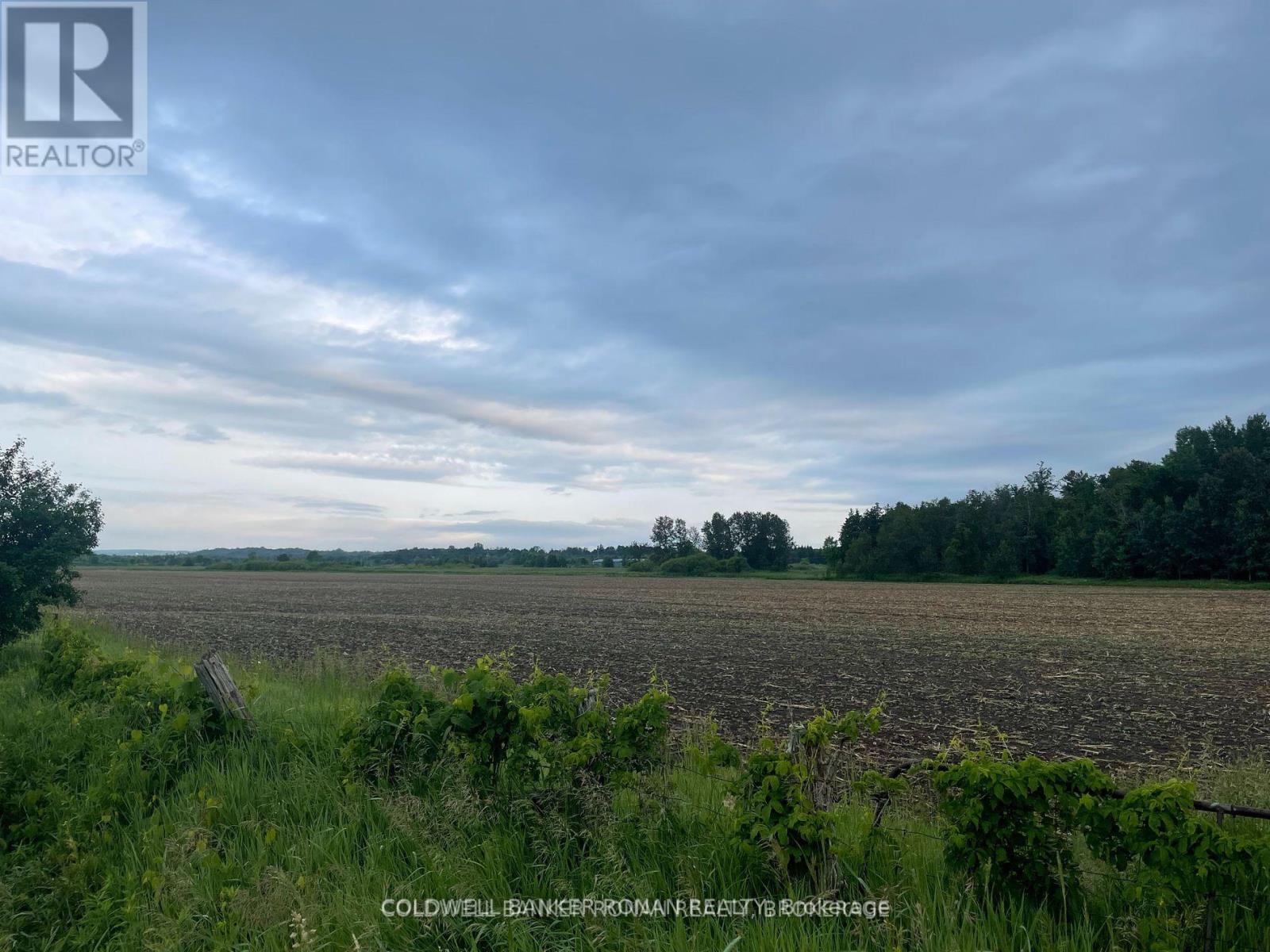 5525 Concession Rd 4, Adjala-Tosorontio, Ontario  L0M 1J0 - Photo 3 - N12072260