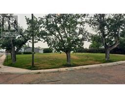 114 Railway Avenue S, Morrin, Ca